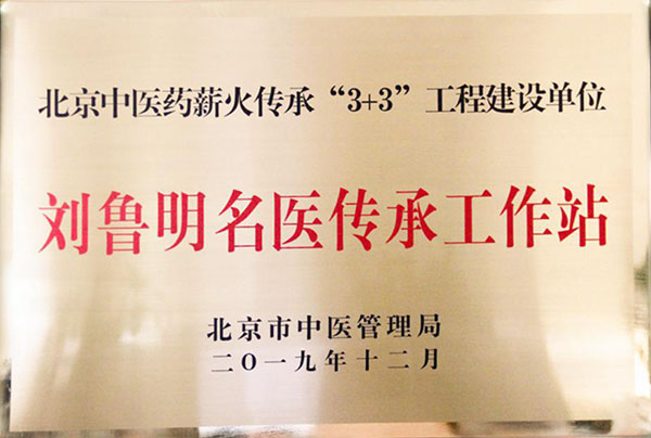 中西医结合肿瘤防治研讨会暨刘鲁明名医传承工作站揭牌仪式在京举行相关图片4